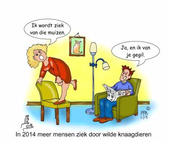 40 11 2015 in 2014 meer mensen ziek door wilde knaagdieren