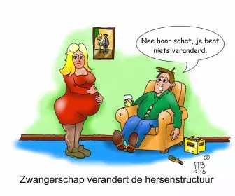 46 12 2016 zwangerschap verandert de hersenstructuur